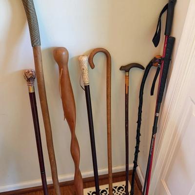 9 Walking Sticks