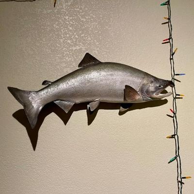Salmon taxidermy 