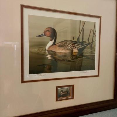 Duck Art 