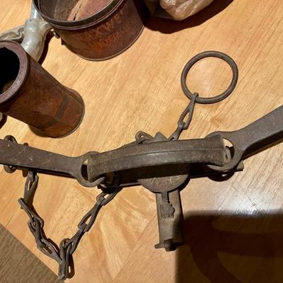 Bear trap 