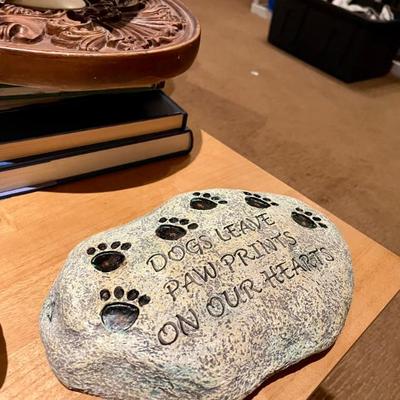 Doggy rocks 