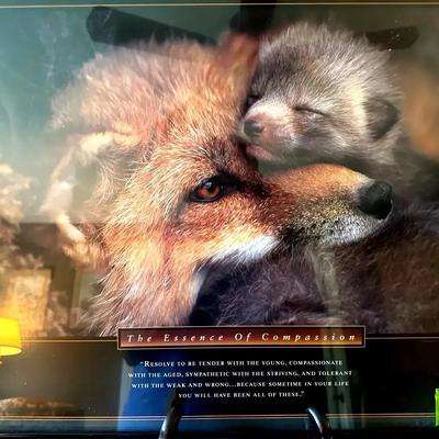 Lot 153:  The Essence of Compassion Fox Print – 24” x 18” Inspirational Wildlife Art 
