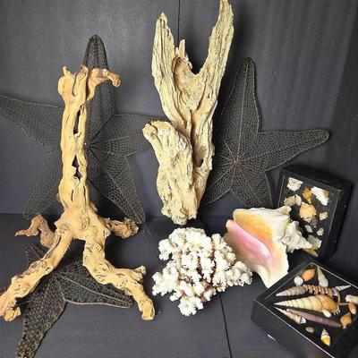Beach Inspired Decor: Coral, Driftwood, Shells, Starfish Wall Hangings