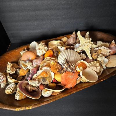 Primitive Wood Dough Bowl With Sea Shell Collection