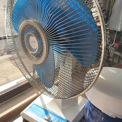 Fan
