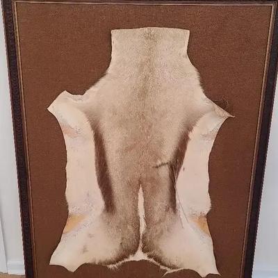 Framed Animal Hide Wall Art