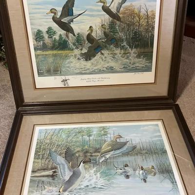 Pair of John Macleod Limited Edition Wildlife Prints