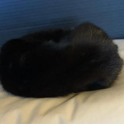 Black Fur Beret Style Hat - Vincent & Bill New York