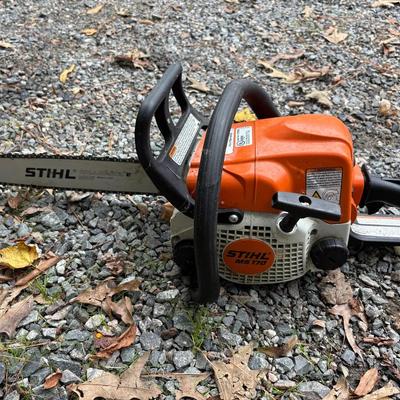Stihl MS170 Chainsaw