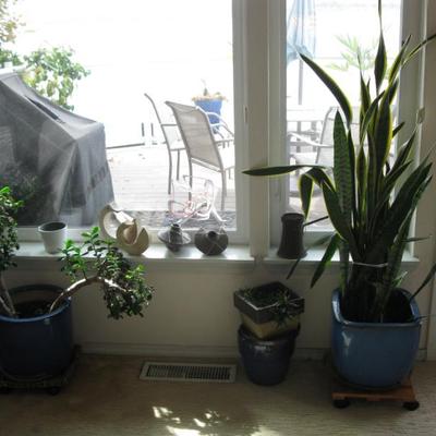 Sale Photo Thumbnail #5