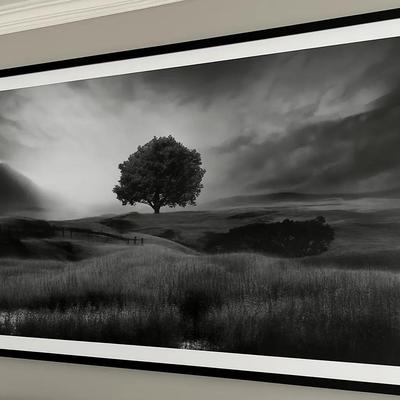 Black & White Landscape Photograph Featuring Lone Tree