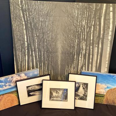 Framed & Canvas Wall Art Collection Featuring Nature Scenes