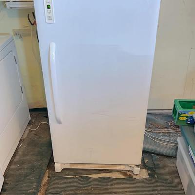 BK401 GE Stand Up Freezer
