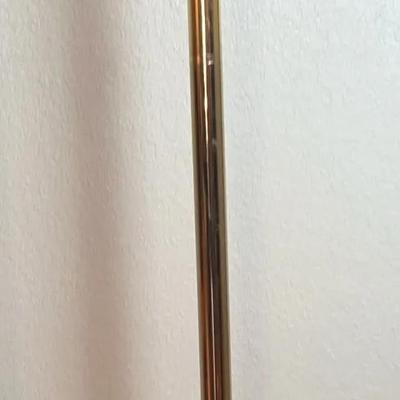 BK113 Floor Lamp 