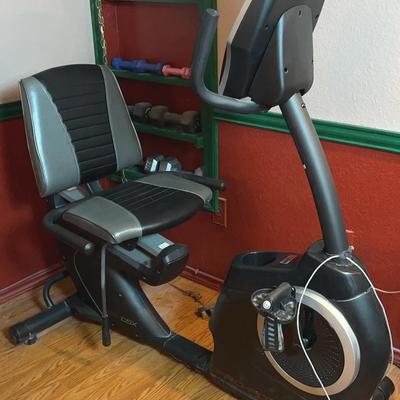 BK201 ProForm 325 CSX Recumbent Exercise Bike