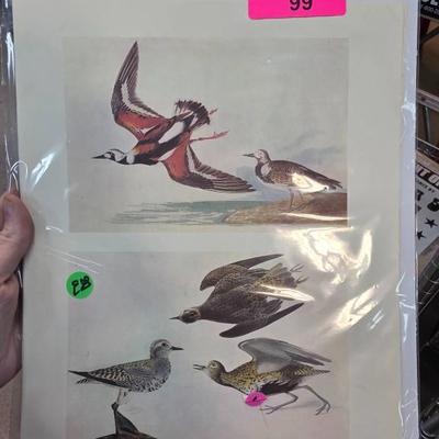 Sale Photo Thumbnail #197
