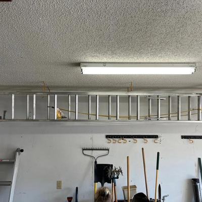 Werner 20 Ft Ladder