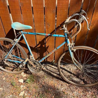 Performer 10 Speed Bike 