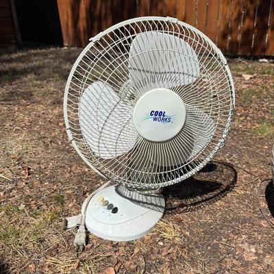 Fan