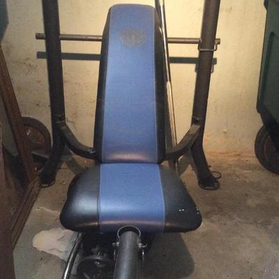 Golds Gym Weight Bench With Bar, No Weights 