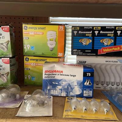 Light Bulbs Packs (14)