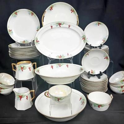 Antique Hutschenreuther Bavaria Porcelain Dinner Service – Hand-Painted by M. Schnellbacher