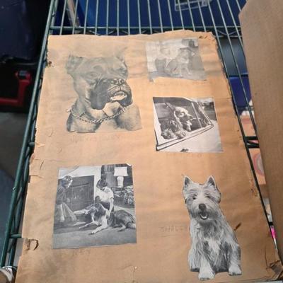Sale Photo Thumbnail #288