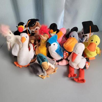 Beanie Babies-Birds
