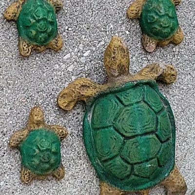 Concrete Sea Turtles