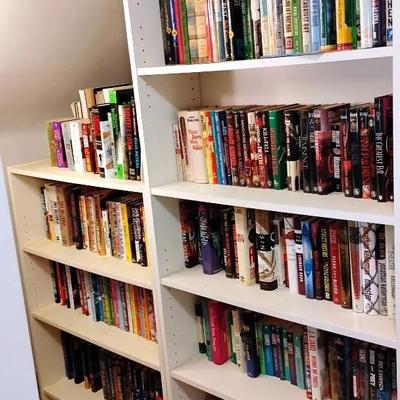 Novels Only Mystery #4