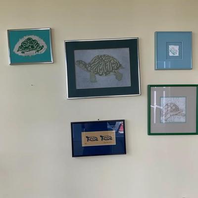 Lot Of Turtle Pictures