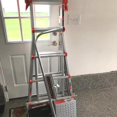 Little Giant Ladder With Accessories