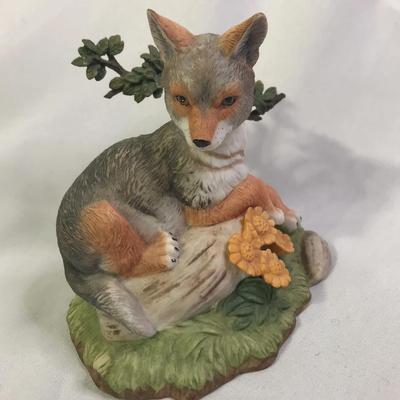 Lenox Coyote on a Peaceful Afternoon