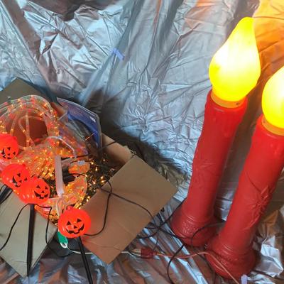 Holiday Light Delight