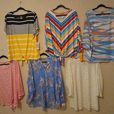 Stripes and Solid Women's Blouses
