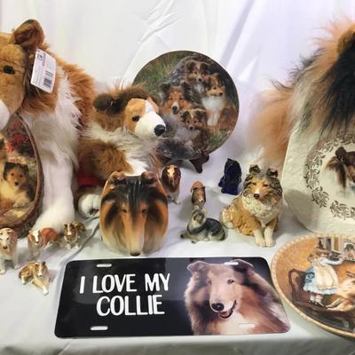 Border Collie Bonanza