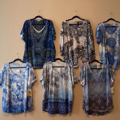6 3x Blueberry Cool Toned One World Blouses