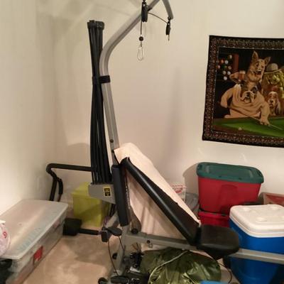 Schwinn comp home gym