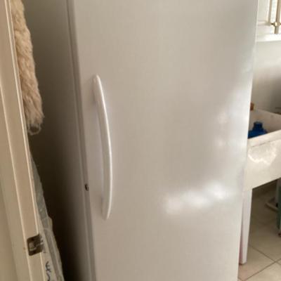 Frigidaire frost free upright freezer