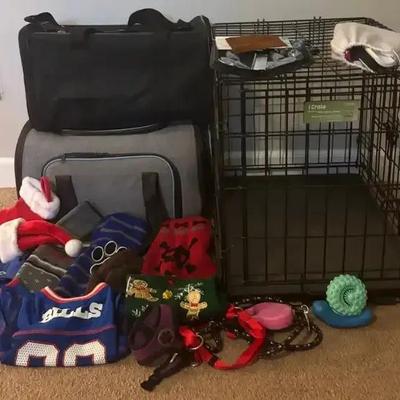 Small Dog Care & Travel Collection