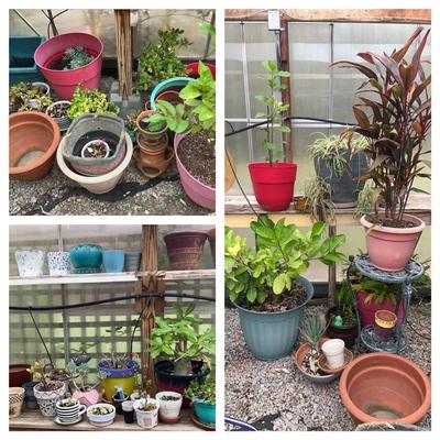 Planters & Gardening Décor Collection