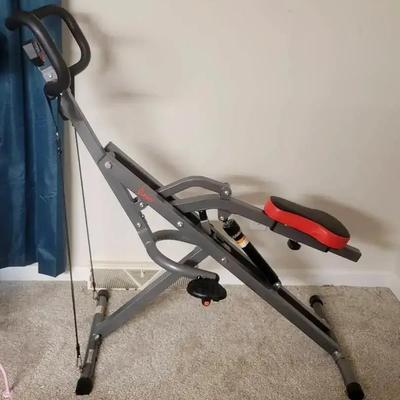 Sunny Health & Fitness Row-N-Ride Trainer