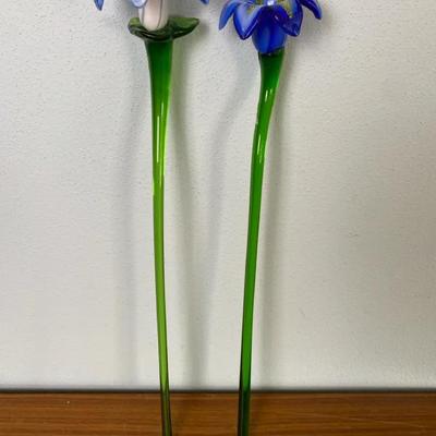 Glass Flowers 