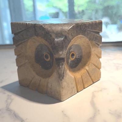 Marble Face of an Owl 