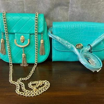 Turquoise Clasp Handbags Duo