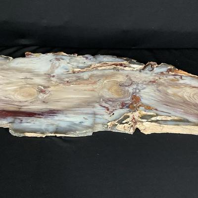 Petrified Pine Slab