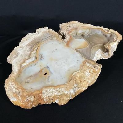 Agate Coral