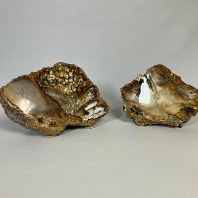 Two Agate Fossils