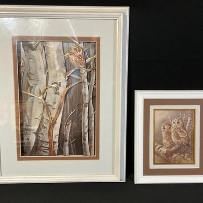 Owl Framed Art
