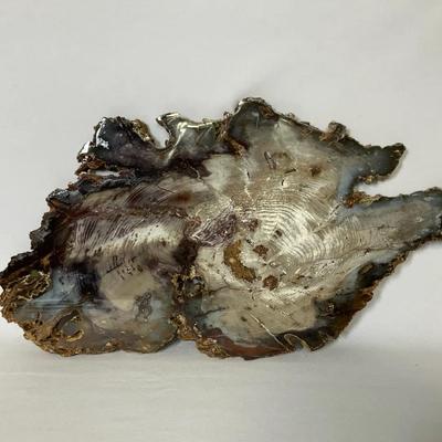 Petrified Wood Slab